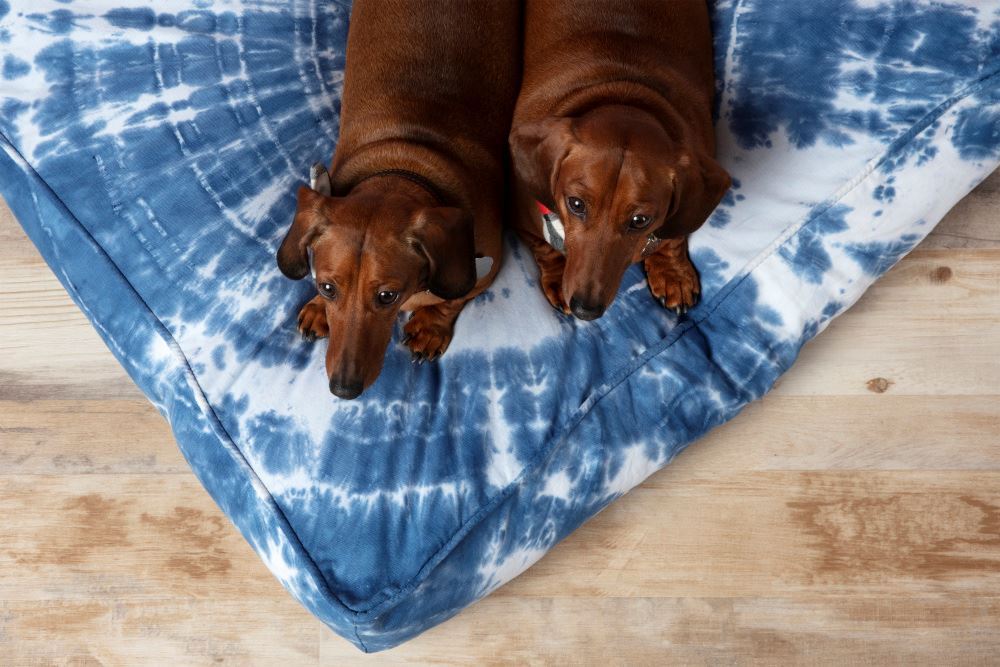 Tulip Bullseye Tie Dye Dog Bed