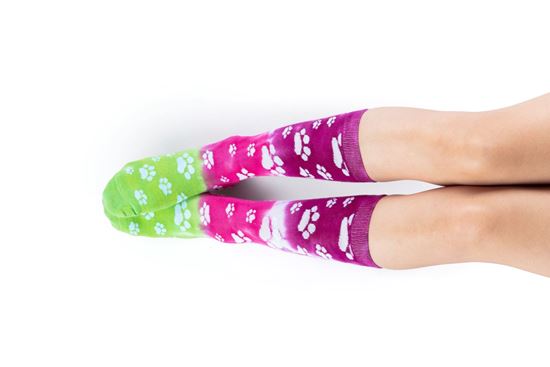 Picture of Tulip® Adult Crazy Socks Paws